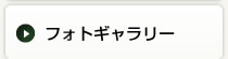 tHgM[